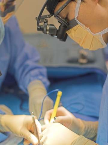 Endocrine Surgeons at UCLA