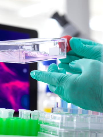 A scientist wearing green gloves holds a cell culture dish in a laboratory setting. In the background, a computer screen displays a magnified image of cells, showcasing their detailed structure in vivid colors. Nearby are several lab tools and vials.
