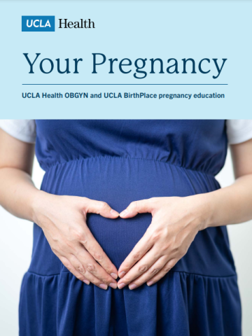 Your Pregnancy Brochure Cover