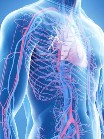 Vascular Surgery
