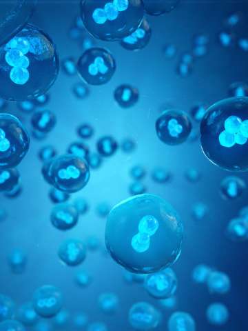 Cells 3D illustration, early stage embryo scientific concept Stem cell research