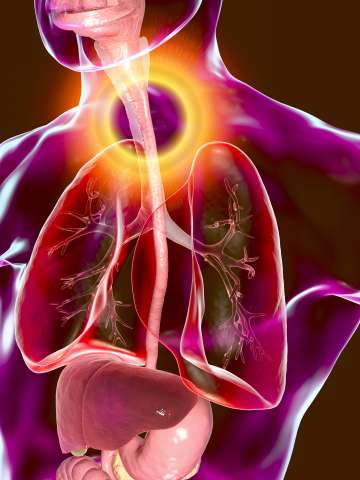 Robert G. Kardashian Center for Esophageal Health at UCLA