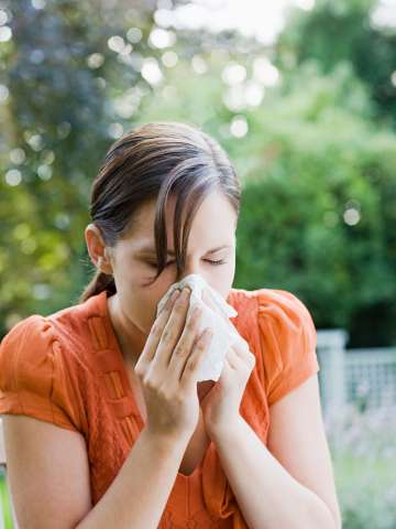 Allergy & Immunology treatment options at UCLA Health