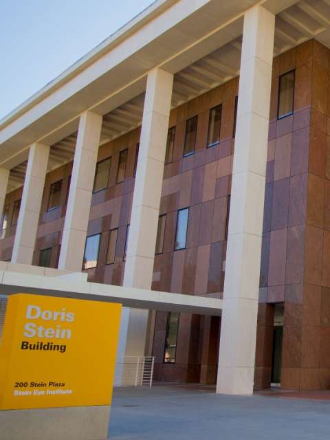 UCLA Doris Stein Eye Research Center