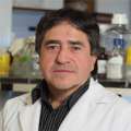 Fernando Gomez-Pinilla, PhD