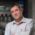 Zoran Galic, PhD