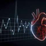This study is the first to link abnormalities in cardiac insulin signaling to the increased risk of cardiac arrythmias