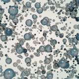 Microbubbles