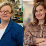 photo collage of scientist kathrin plath on the left and scientist hanna mikkola on the right, both are in a lab setting
