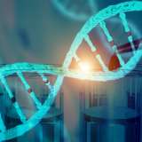 Illustration of DNA