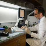 Antoni Ribas in the lab