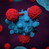T cells attacking cancer cells