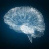 Brain image