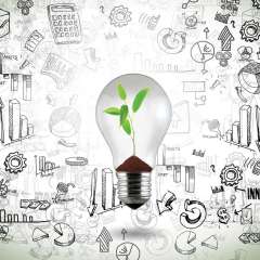 Lightbulb with growing plant inside bulb