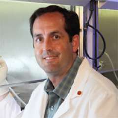 Robert M. Prins, PhD