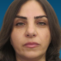 Leila Sadeghipoor Nursing Simulation Analyst